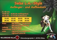 Bild zu Salsa Kurse